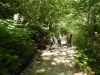 DSCN3992.JPG