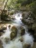 DSCN4034aDSCN4034.JPG