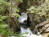 DSCN4080.JPG