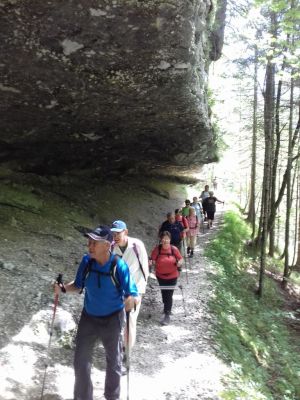 Kliknite za ogled večje slike