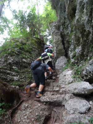 Kliknite za ogled večje slike