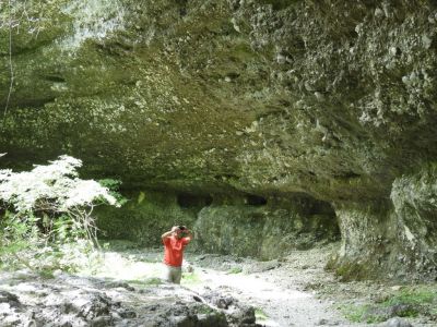 Kliknite za ogled večje slike