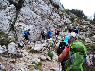 Kliknite za ogled večje slike