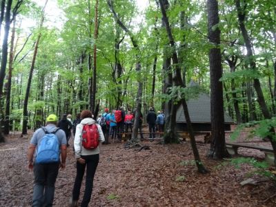 Kliknite za ogled večje slike