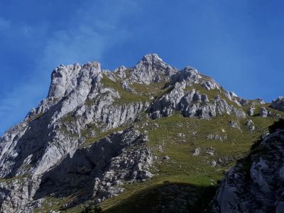 Kliknite za ogled večje slike