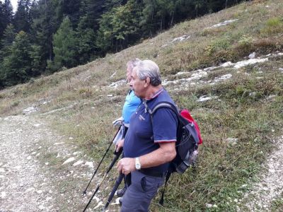 Kliknite za ogled večje slike