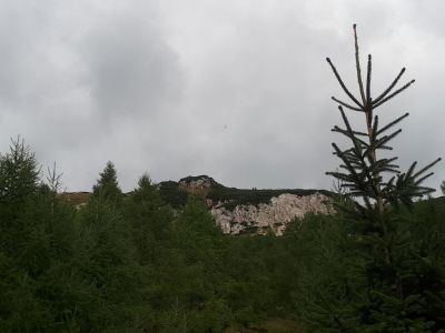 Kliknite za ogled večje slike