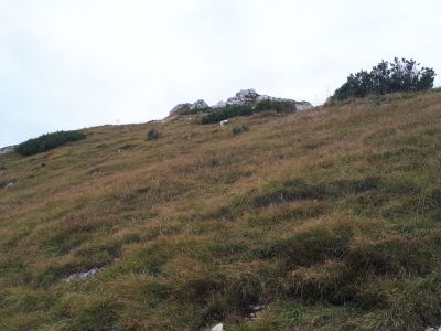 Kliknite za ogled večje slike