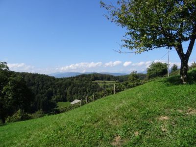 Kliknite za ogled večje slike