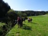 DSC02337.JPG