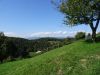 DSC02342.JPG