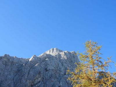 Kliknite za ogled večje slike