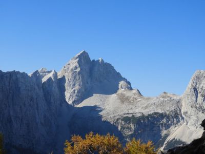 Kliknite za ogled večje slike