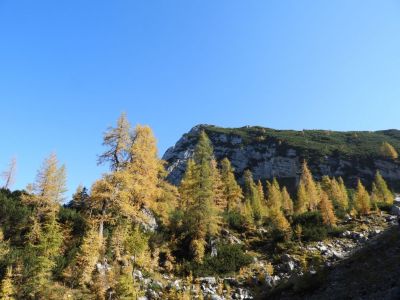 Kliknite za ogled večje slike