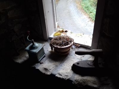 Kliknite za ogled večje slike