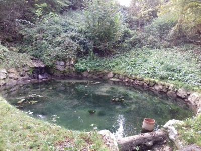 Kliknite za ogled večje slike