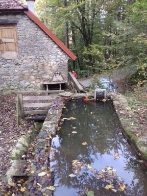 Kliknite za ogled večje slike