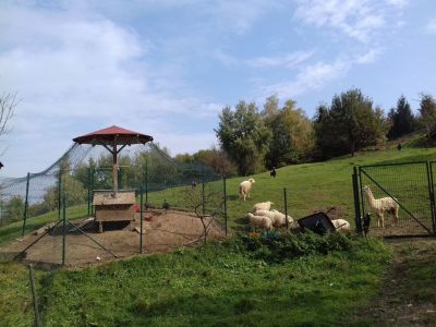 Kliknite za ogled večje slike