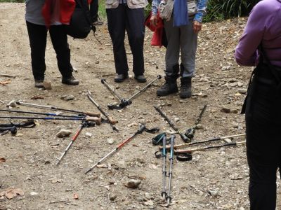 Kliknite za ogled večje slike