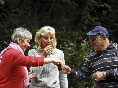 Kliknite za ogled večje slike
