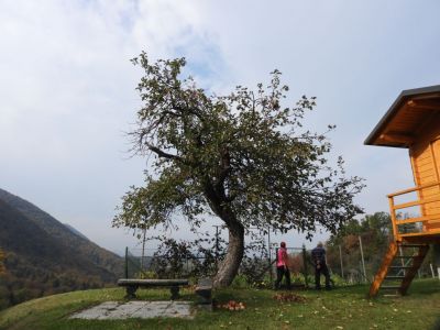Kliknite za ogled večje slike