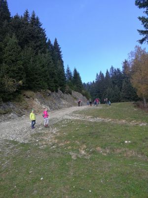 Kliknite za ogled večje slike