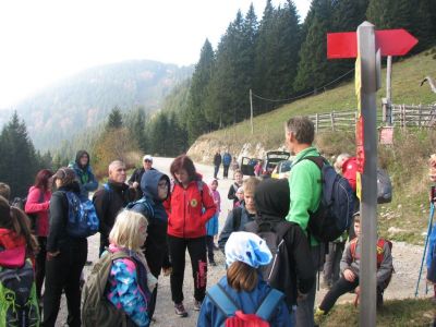 Kliknite za ogled večje slike