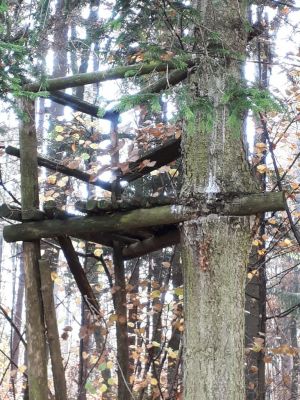 Kliknite za ogled večje slike