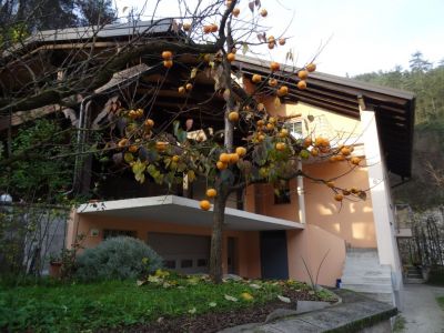 Kliknite za ogled večje slike