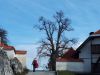 20181107_113128.jpg