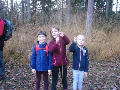 Kliknite za ogled večje slike