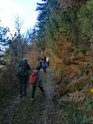 Kliknite za ogled večje slike