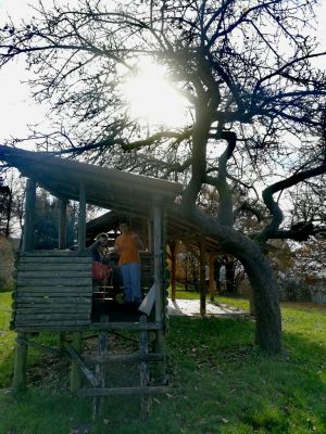 Kliknite za ogled večje slike