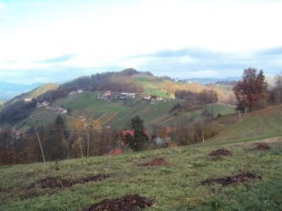 Kliknite za ogled večje slike