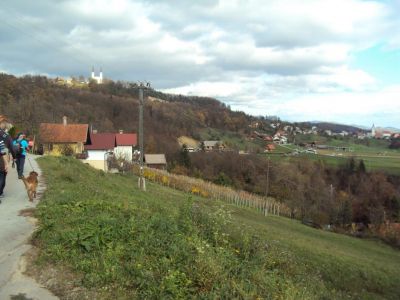 Kliknite za ogled večje slike