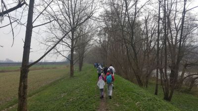 Kliknite za ogled večje slike