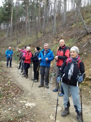 Kliknite za ogled večje slike
