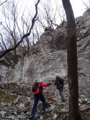 Kliknite za ogled večje slike