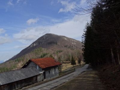 Kliknite za ogled večje slike