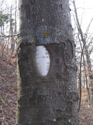 Kliknite za ogled večje slike
