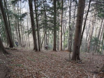 Kliknite za ogled večje slike