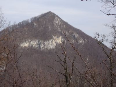 Kliknite za ogled večje slike