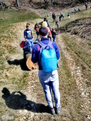 Kliknite za ogled večje slike