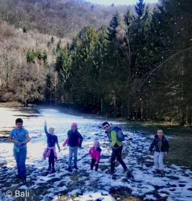 Kliknite za ogled večje slike