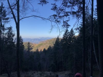 Kliknite za ogled večje slike