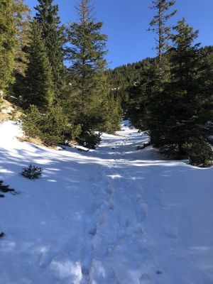 Kliknite za ogled večje slike