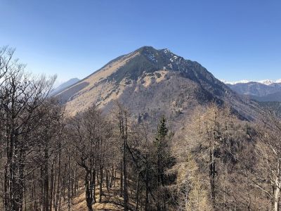 Kliknite za ogled večje slike