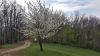20190406_095358.jpg