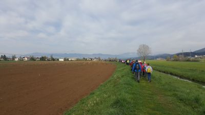 Kliknite za ogled večje slike