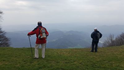 Kliknite za ogled večje slike